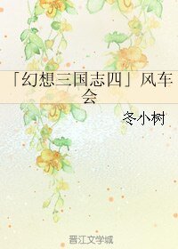《(幻想三国志4同人)风车会》