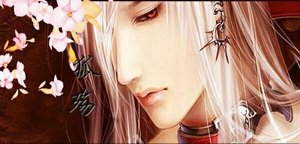 《狐殤之戮瞳》