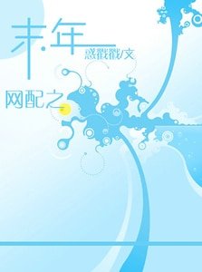 《网配之末年》