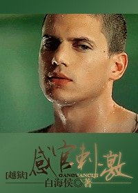 《(越狱同人)仔官疵汲》