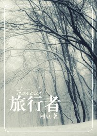 《(综漫同人)旅行者》
