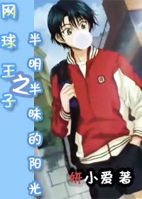 《(网王同人)网球王子之半明半昧的阳光》