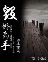 毀婚高手(高幹-軍婚)