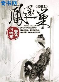 《红楼之凤还巢》