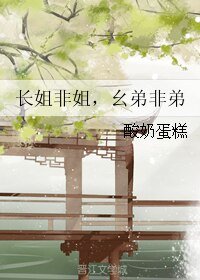 《长姐非姐,幺弟非弟》