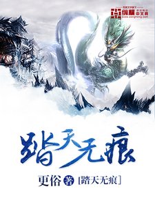 《踏天无痕》