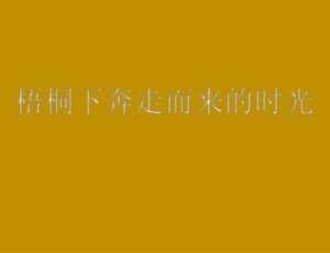 梧桐下奔走而来的时光