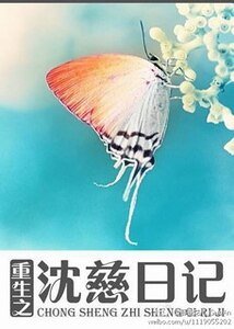 《重生之沈慈日记》