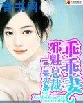 邪魅總裁乖乖妻