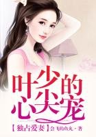 《独占爱妻,叶少的心尖宠》