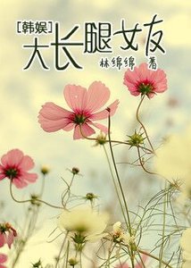 《(BG-韓娛同人)韓娛之大長腿女友》