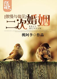 （傲慢與偏見同人）二次婚姻