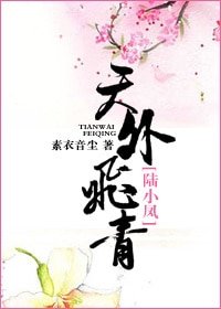 《(陆小凤同人)天外飞青》