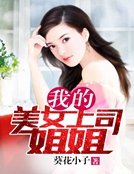 《我的美女上司姐姐》
