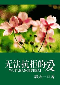 《无法抗拒的爱》