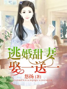 《逃婚甜妻娶一送一》