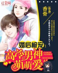 婚后极宠:高冷男神萌萌爱