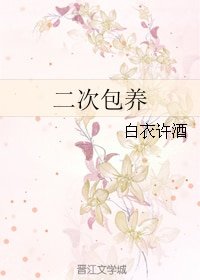 二次包 养