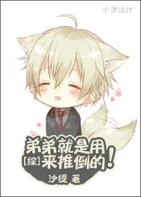 《(綜同人)弟弟就是用來推倒的》