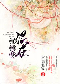 （红楼同人）混在红楼梦