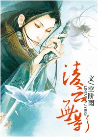 《凌云无影》