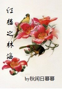 《(红楼同人)红楼之林海》