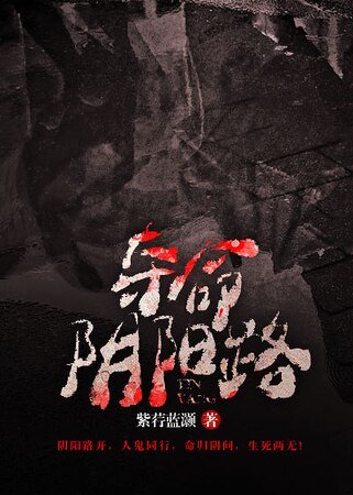 《夺命阴阳路》