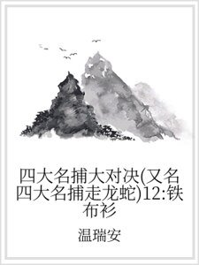 《四大名捕大对决(又名四大名捕走龙蛇)12:铁布衫》