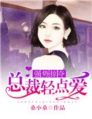 《强势掠夺,总裁轻点爱》