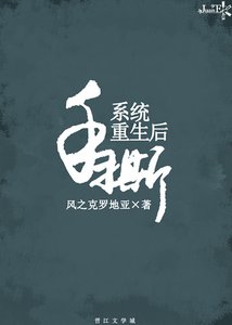 《手撕系統重生後》