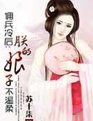 佣兵冷后:朕的娘子不温柔