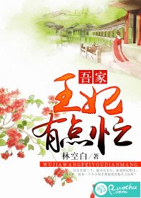 《吾家王妃有點忙》