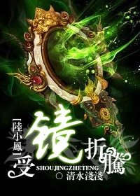 《(陆小凤同人)受镜折腾》