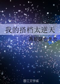 我的搭档太逆天