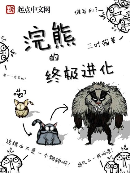 《浣熊的终极进化》
