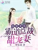 《隐婚蜜爱:霸道总裁甜宠妻》