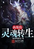 《西斯的灵魂转生》
