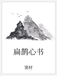 《扁鹊心书》