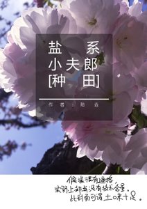 《盐系小夫郎》