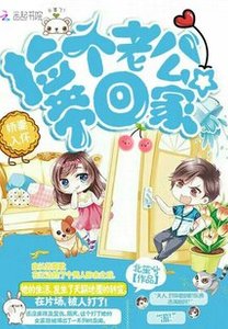 《嬌妻入懷:撿個老公帶回家》