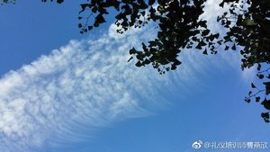 《諮詢師-雲去雲來》