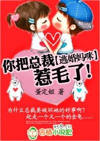 《逃婚妈咪,你把总裁惹毛了》