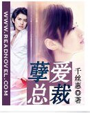 《孽愛總裁》