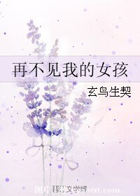 《再不见我的女孩》