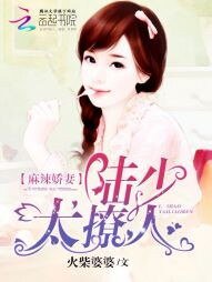 《麻辣娇妻:陆少,要抱抱》