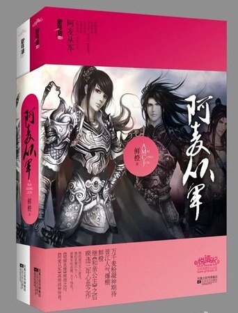 阿麦从军（出书版）
