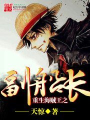 《(海贼王同人)重生海盗王之副船》