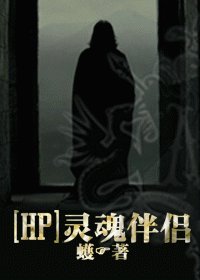 《(HP同人/BL)灵魂伴侣/SOUL MATE》