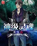 《神級靈魂》