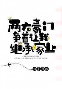 《两大豪门争着让我继承家业》